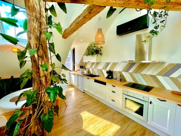Cuisine toute équipée avec lave-vaisselle, four, micro-onde, cafetière à l'italienne avec percolateur, grille pain etc...